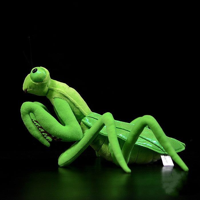 Realistic Cute Mantis Lifelike Plush Toy - JoiKids.com